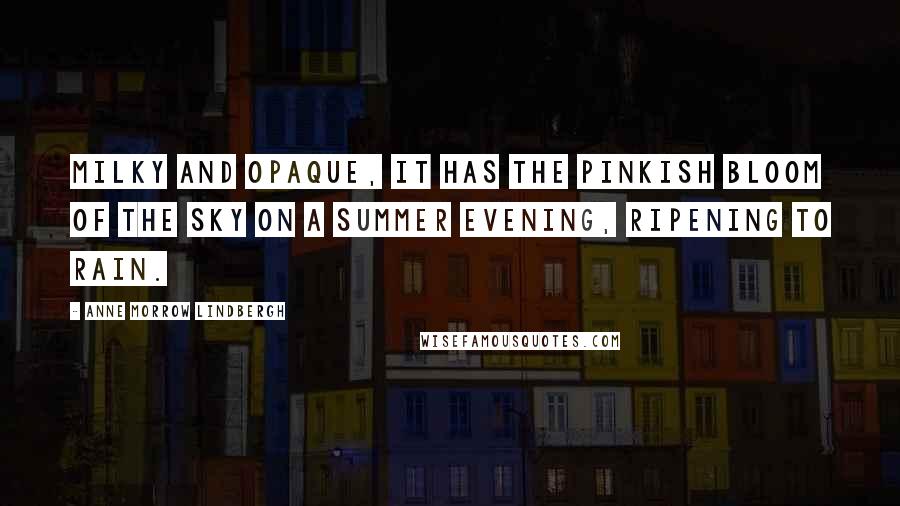 Anne Morrow Lindbergh Quotes: Milky and opaque, it has the pinkish bloom of the sky on a summer evening, ripening to rain.