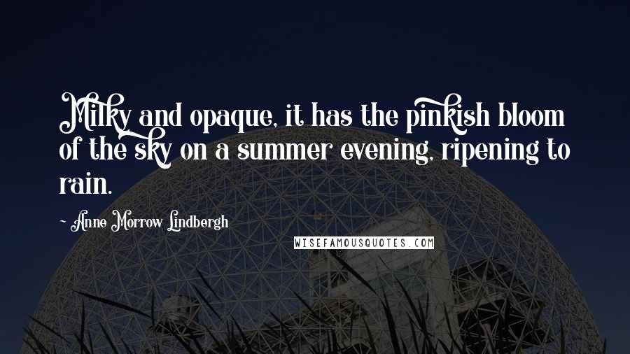 Anne Morrow Lindbergh Quotes: Milky and opaque, it has the pinkish bloom of the sky on a summer evening, ripening to rain.