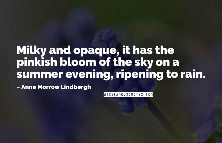 Anne Morrow Lindbergh Quotes: Milky and opaque, it has the pinkish bloom of the sky on a summer evening, ripening to rain.