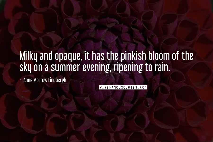 Anne Morrow Lindbergh Quotes: Milky and opaque, it has the pinkish bloom of the sky on a summer evening, ripening to rain.