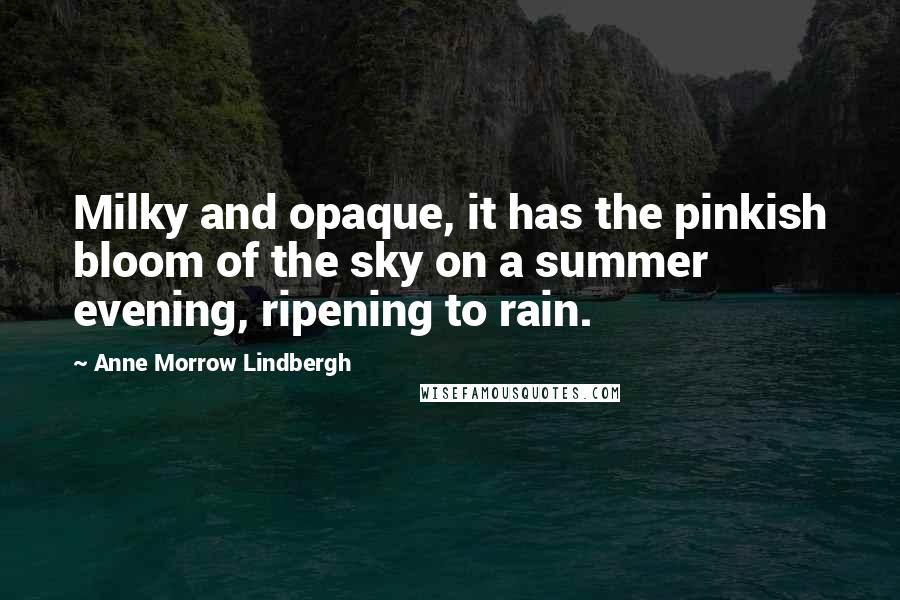 Anne Morrow Lindbergh Quotes: Milky and opaque, it has the pinkish bloom of the sky on a summer evening, ripening to rain.