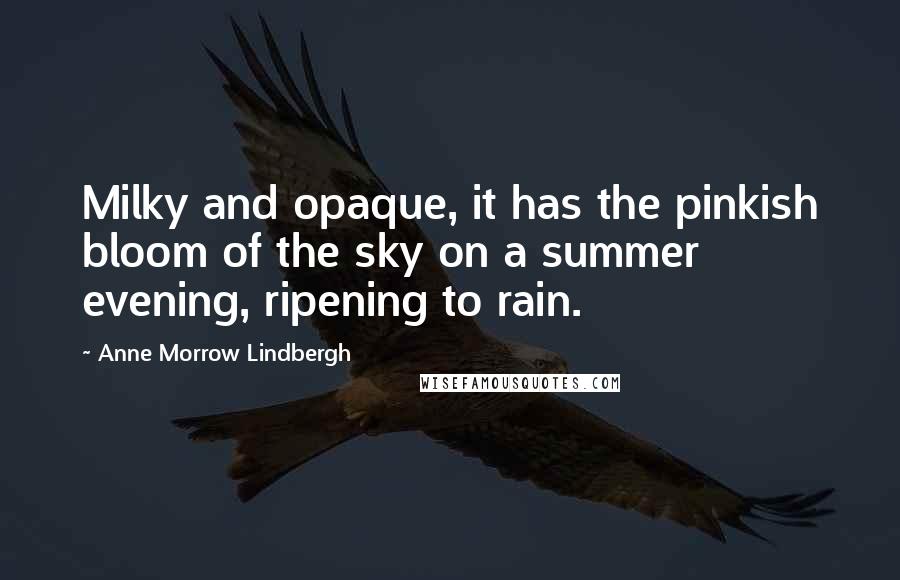 Anne Morrow Lindbergh Quotes: Milky and opaque, it has the pinkish bloom of the sky on a summer evening, ripening to rain.