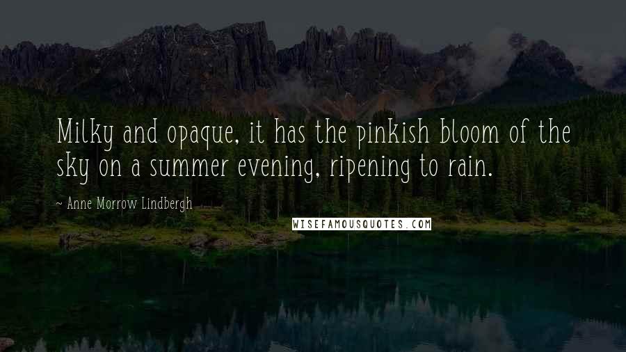 Anne Morrow Lindbergh Quotes: Milky and opaque, it has the pinkish bloom of the sky on a summer evening, ripening to rain.