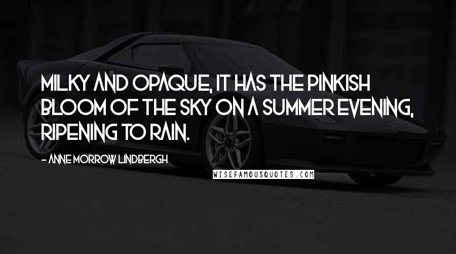 Anne Morrow Lindbergh Quotes: Milky and opaque, it has the pinkish bloom of the sky on a summer evening, ripening to rain.