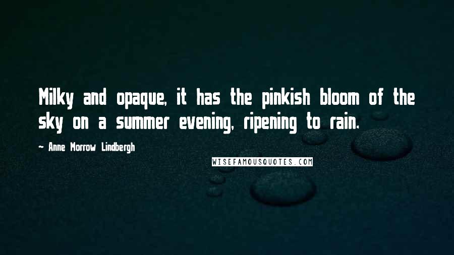 Anne Morrow Lindbergh Quotes: Milky and opaque, it has the pinkish bloom of the sky on a summer evening, ripening to rain.