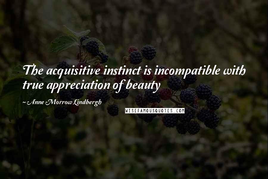 Anne Morrow Lindbergh Quotes: The acquisitive instinct is incompatible with true appreciation of beauty