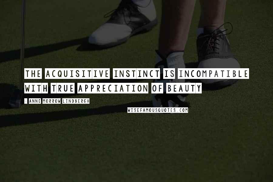 Anne Morrow Lindbergh Quotes: The acquisitive instinct is incompatible with true appreciation of beauty