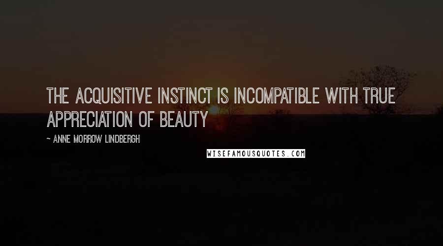 Anne Morrow Lindbergh Quotes: The acquisitive instinct is incompatible with true appreciation of beauty