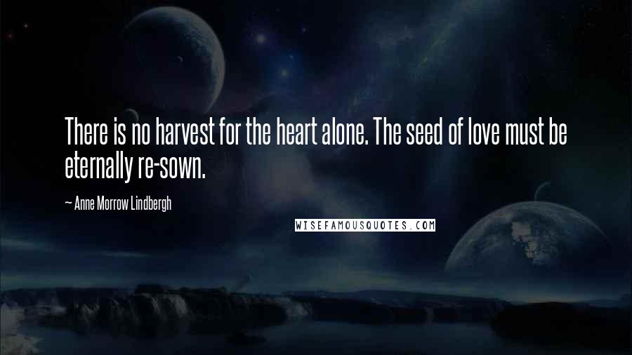 Anne Morrow Lindbergh Quotes: There is no harvest for the heart alone. The seed of love must be eternally re-sown.