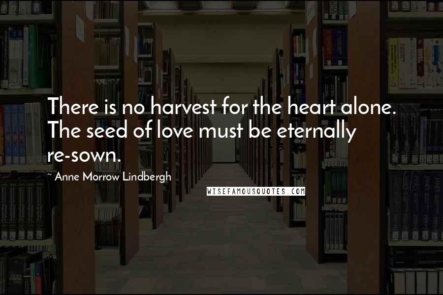 Anne Morrow Lindbergh Quotes: There is no harvest for the heart alone. The seed of love must be eternally re-sown.