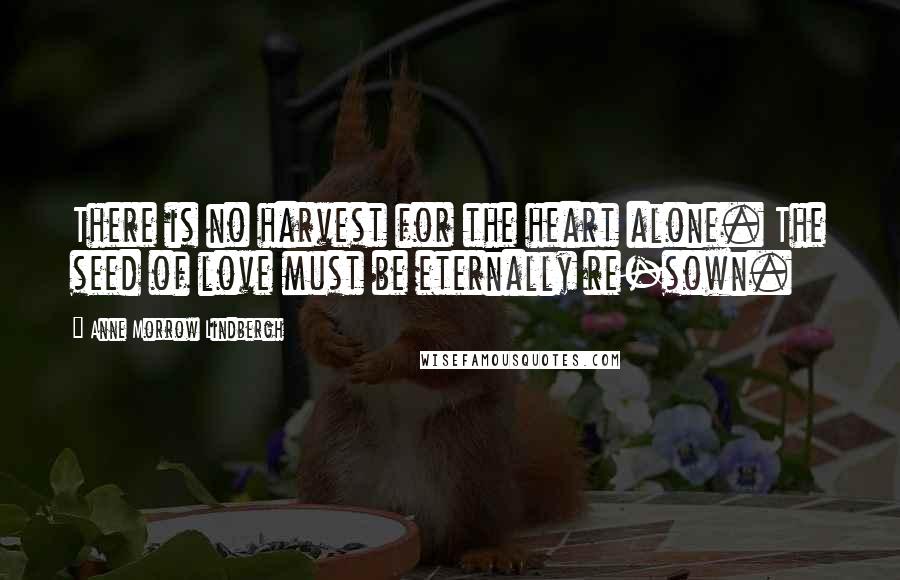 Anne Morrow Lindbergh Quotes: There is no harvest for the heart alone. The seed of love must be eternally re-sown.