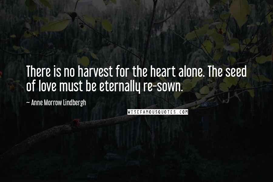 Anne Morrow Lindbergh Quotes: There is no harvest for the heart alone. The seed of love must be eternally re-sown.