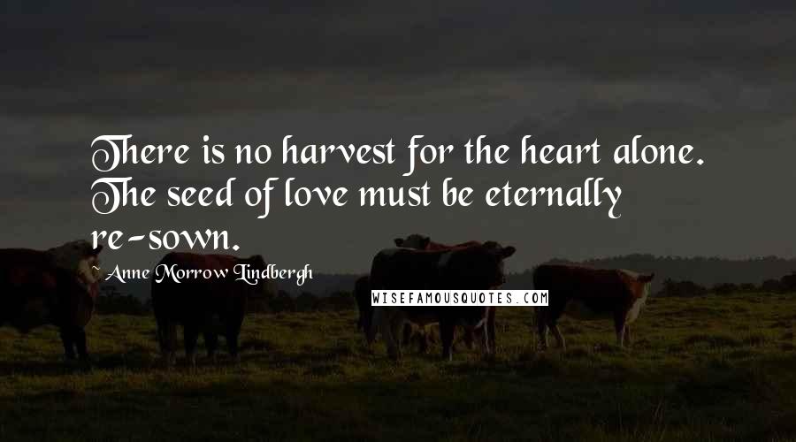 Anne Morrow Lindbergh Quotes: There is no harvest for the heart alone. The seed of love must be eternally re-sown.