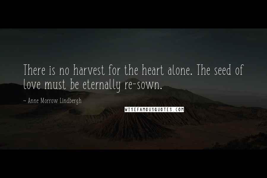 Anne Morrow Lindbergh Quotes: There is no harvest for the heart alone. The seed of love must be eternally re-sown.