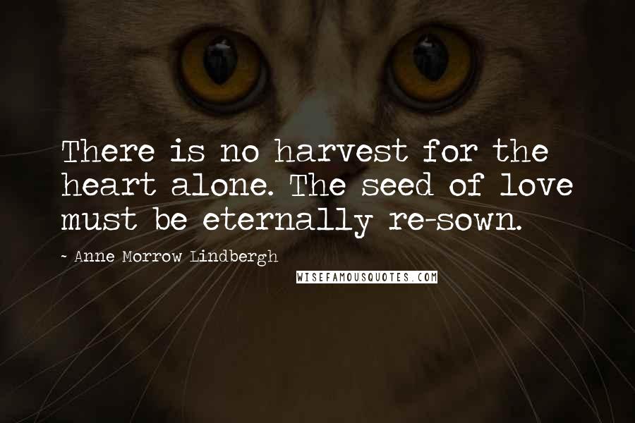 Anne Morrow Lindbergh Quotes: There is no harvest for the heart alone. The seed of love must be eternally re-sown.