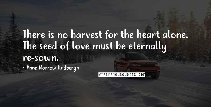 Anne Morrow Lindbergh Quotes: There is no harvest for the heart alone. The seed of love must be eternally re-sown.