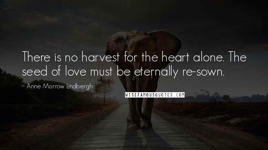 Anne Morrow Lindbergh Quotes: There is no harvest for the heart alone. The seed of love must be eternally re-sown.