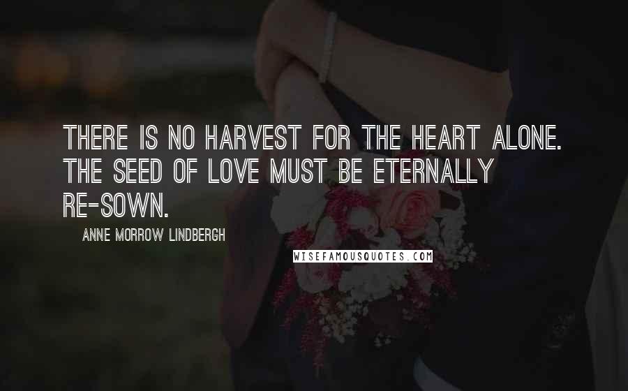 Anne Morrow Lindbergh Quotes: There is no harvest for the heart alone. The seed of love must be eternally re-sown.