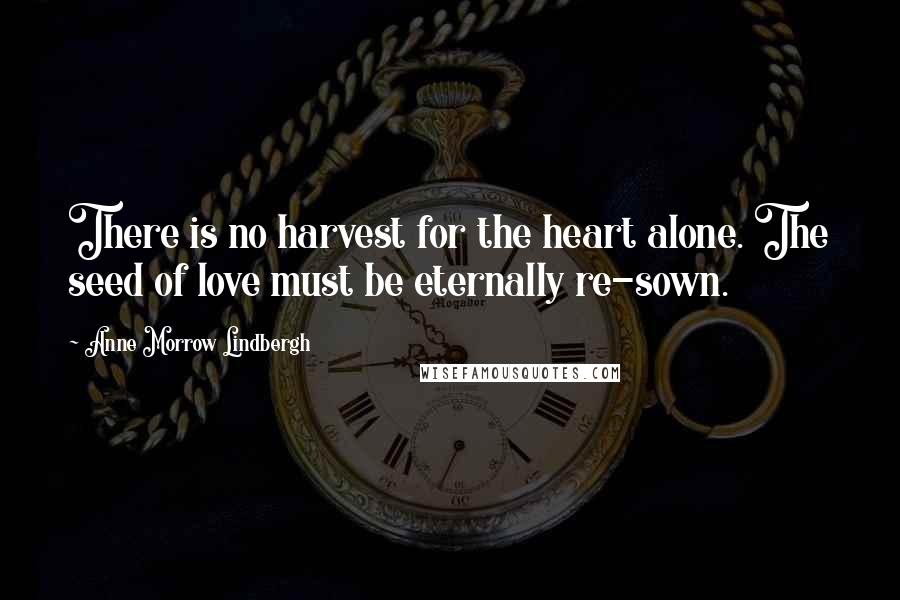 Anne Morrow Lindbergh Quotes: There is no harvest for the heart alone. The seed of love must be eternally re-sown.