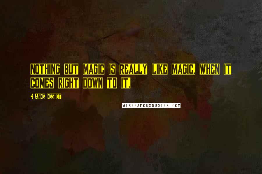 Anne Nesbet Quotes: Nothing but magic is really like magic, when it comes right down to it.