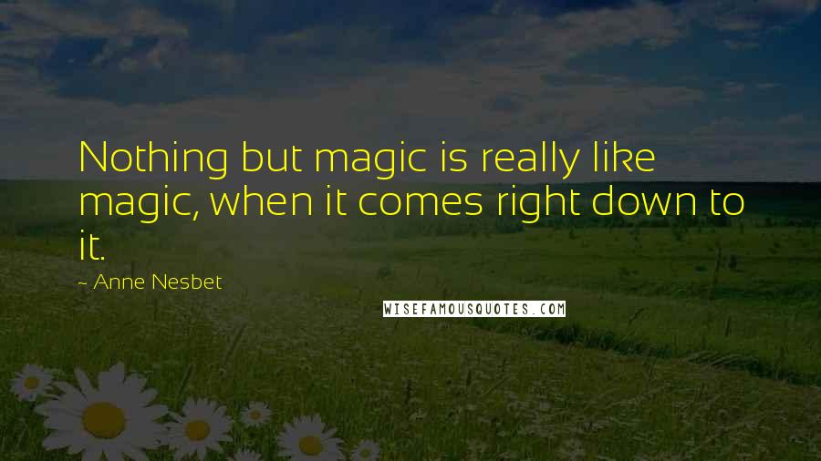 Anne Nesbet Quotes: Nothing but magic is really like magic, when it comes right down to it.