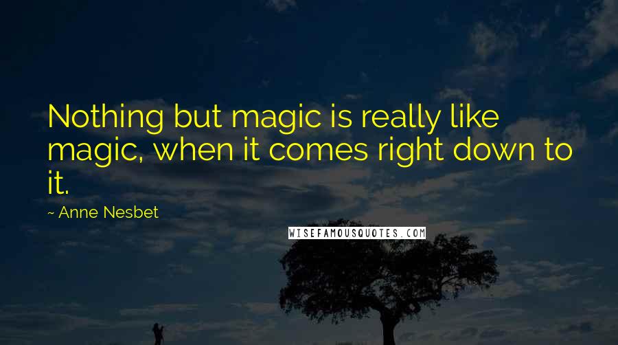 Anne Nesbet Quotes: Nothing but magic is really like magic, when it comes right down to it.