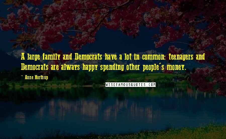 Anne Northup Quotes: A large family and Democrats have a lot in common: teenagers and Democrats are always happy spending other people's money.