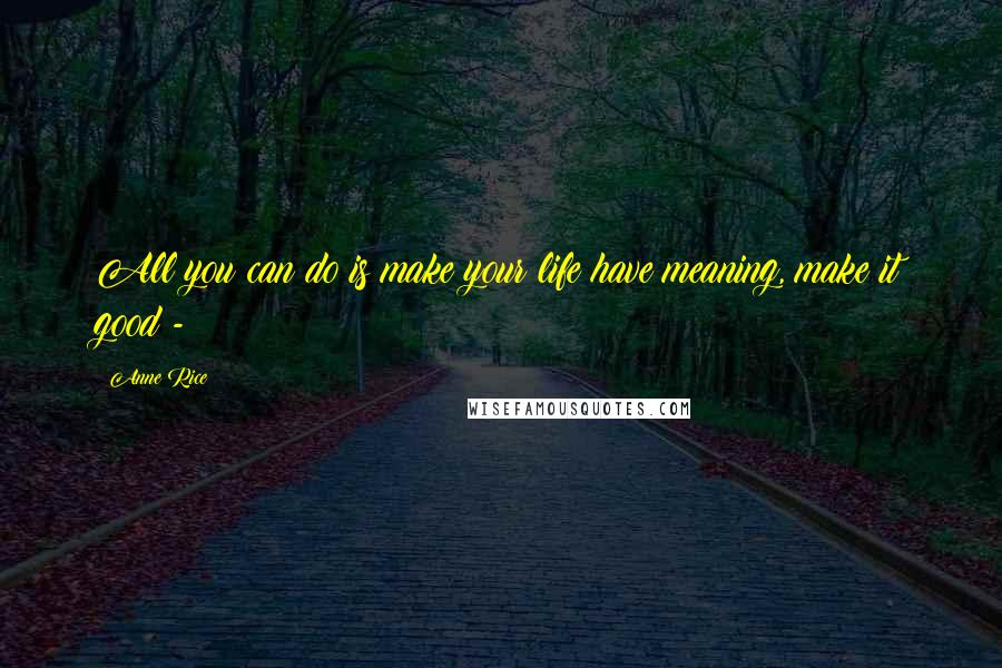 Anne Rice Quotes: All you can do is make your life have meaning, make it good - 