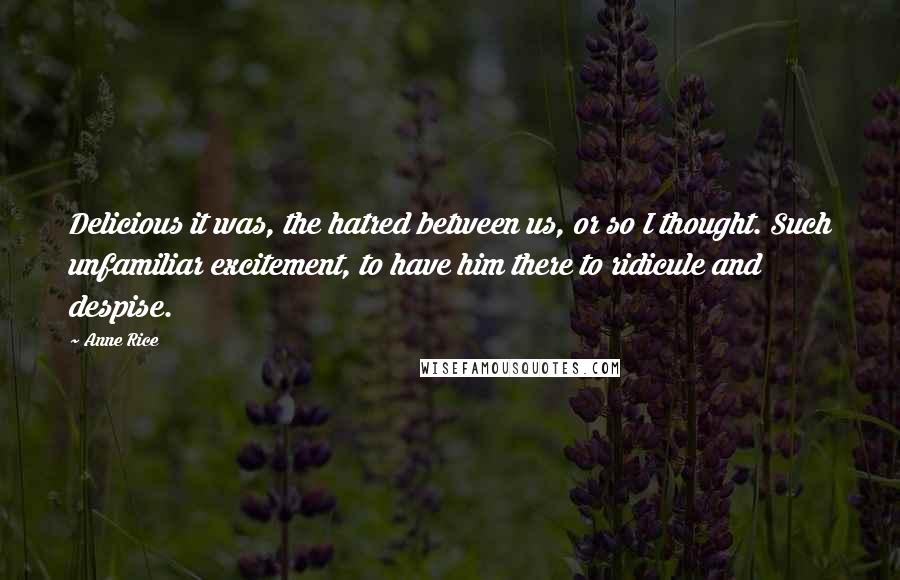 Anne Rice Quotes: Delicious it was, the hatred between us, or so I thought. Such unfamiliar excitement, to have him there to ridicule and despise.