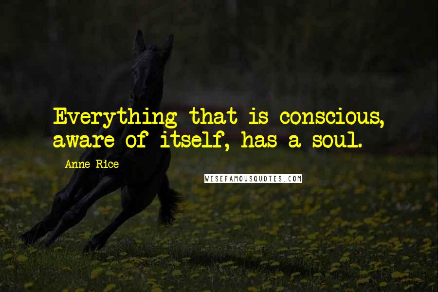 Anne Rice Quotes: Everything that is conscious, aware of itself, has a soul.
