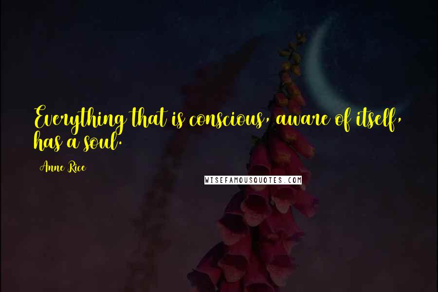Anne Rice Quotes: Everything that is conscious, aware of itself, has a soul.