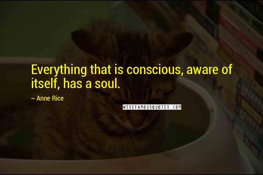 Anne Rice Quotes: Everything that is conscious, aware of itself, has a soul.