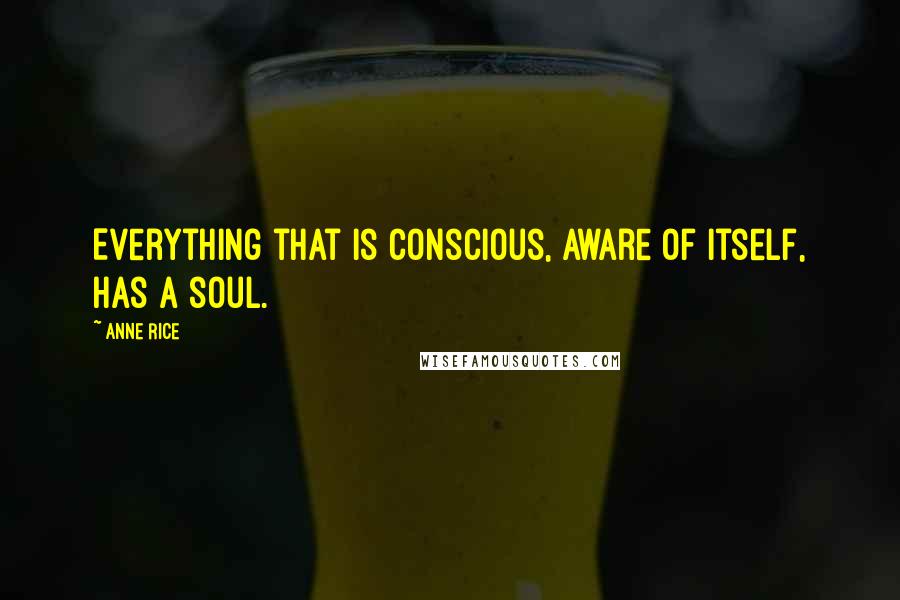 Anne Rice Quotes: Everything that is conscious, aware of itself, has a soul.