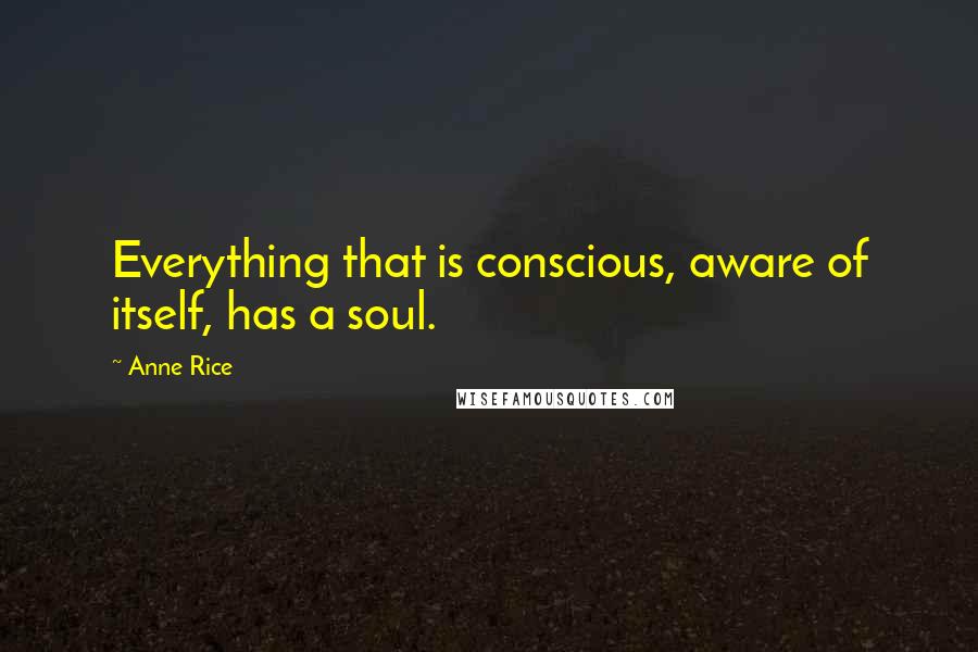 Anne Rice Quotes: Everything that is conscious, aware of itself, has a soul.