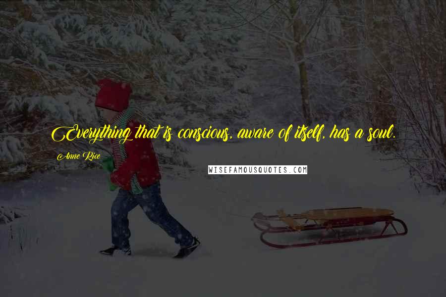 Anne Rice Quotes: Everything that is conscious, aware of itself, has a soul.