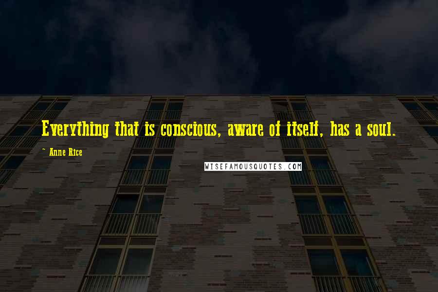 Anne Rice Quotes: Everything that is conscious, aware of itself, has a soul.