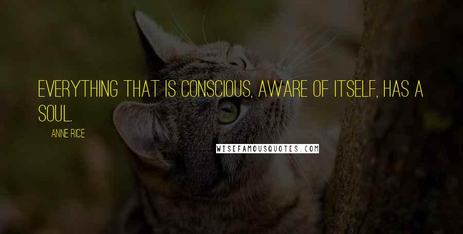Anne Rice Quotes: Everything that is conscious, aware of itself, has a soul.