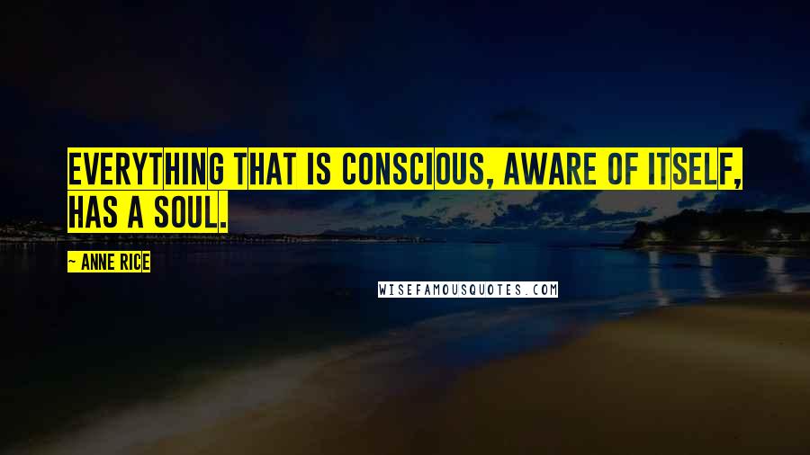 Anne Rice Quotes: Everything that is conscious, aware of itself, has a soul.