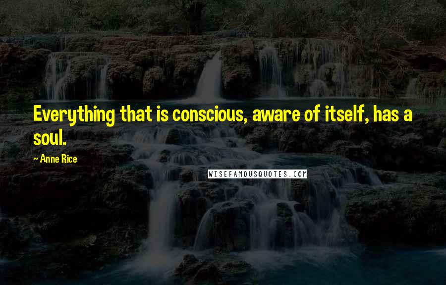 Anne Rice Quotes: Everything that is conscious, aware of itself, has a soul.