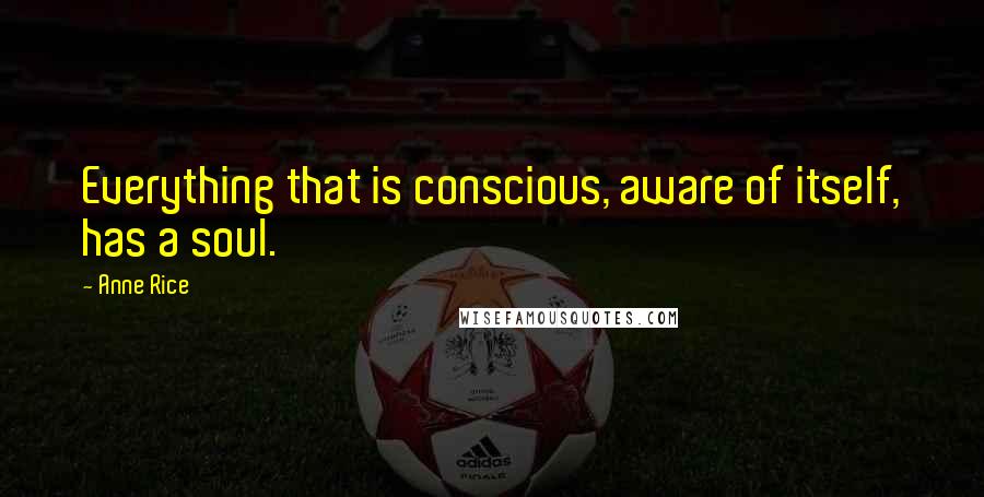 Anne Rice Quotes: Everything that is conscious, aware of itself, has a soul.
