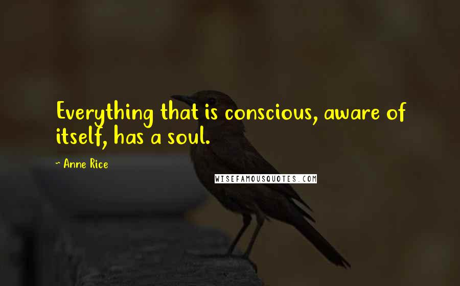 Anne Rice Quotes: Everything that is conscious, aware of itself, has a soul.