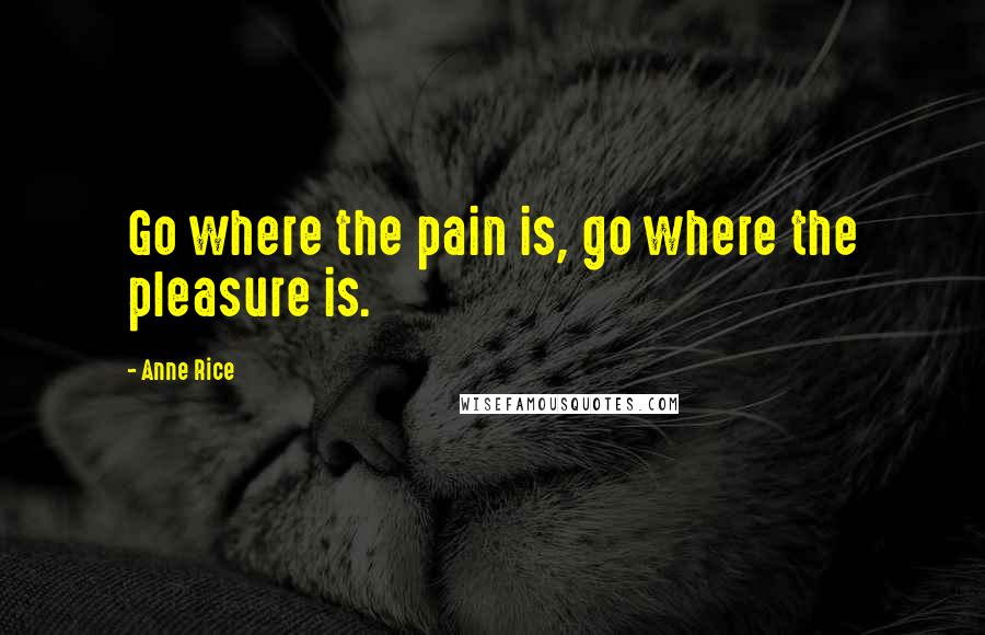 Anne Rice Quotes: Go where the pain is, go where the pleasure is.