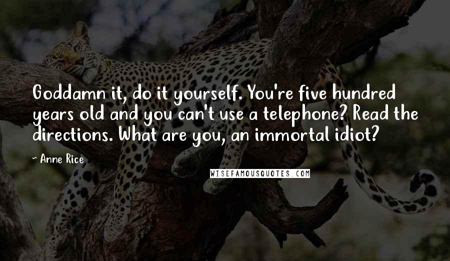 Anne Rice Quotes: Goddamn it, do it yourself. You're five hundred years old and you can't use a telephone? Read the directions. What are you, an immortal idiot?