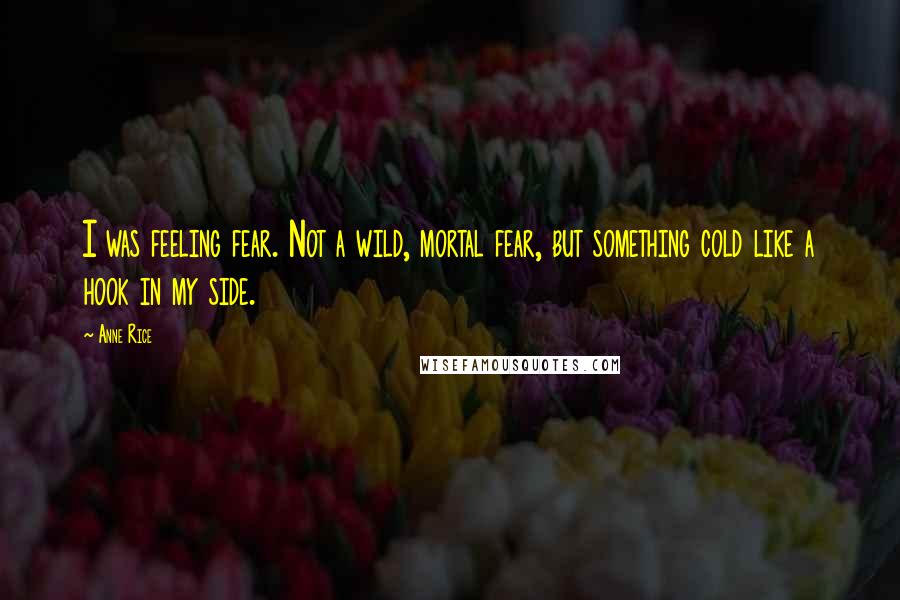 Anne Rice Quotes: I was feeling fear. Not a wild, mortal fear, but something cold like a hook in my side.