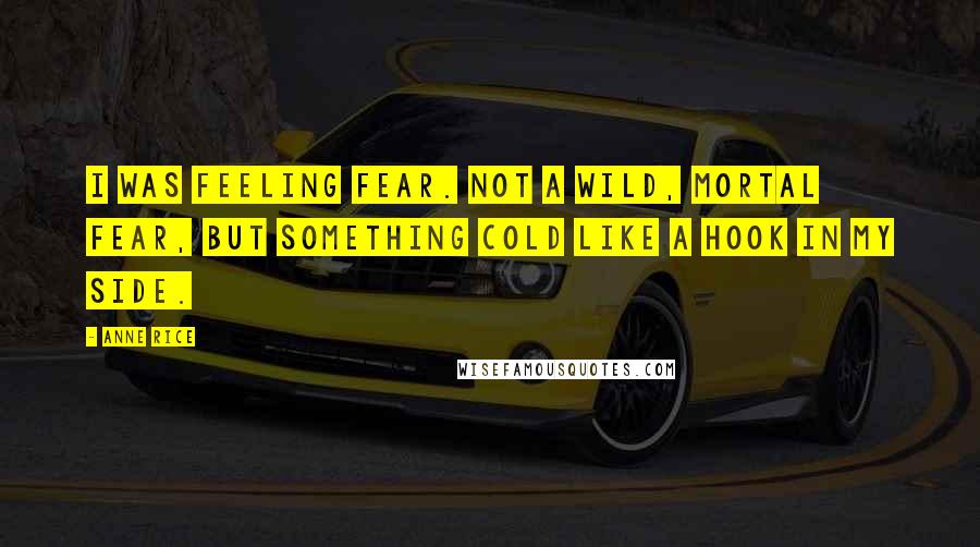 Anne Rice Quotes: I was feeling fear. Not a wild, mortal fear, but something cold like a hook in my side.