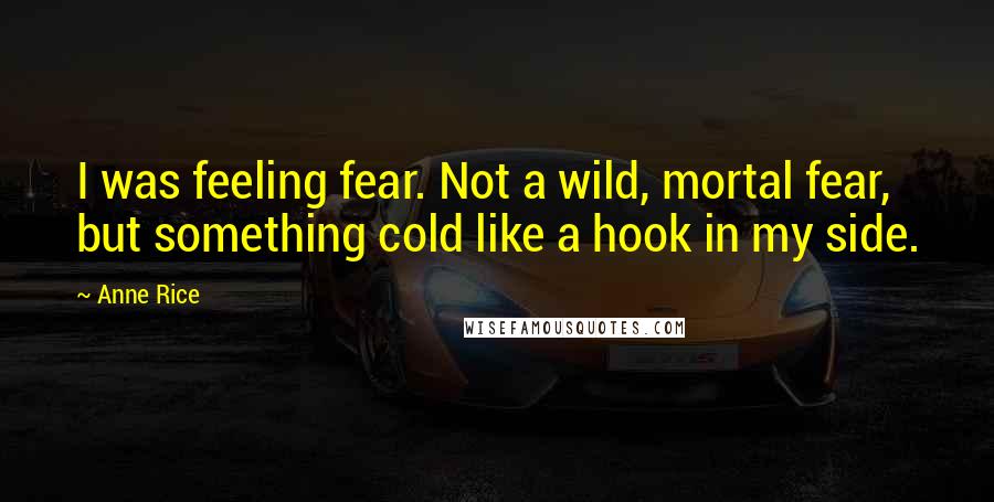 Anne Rice Quotes: I was feeling fear. Not a wild, mortal fear, but something cold like a hook in my side.