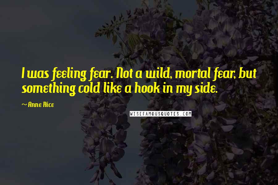 Anne Rice Quotes: I was feeling fear. Not a wild, mortal fear, but something cold like a hook in my side.