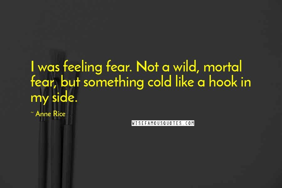 Anne Rice Quotes: I was feeling fear. Not a wild, mortal fear, but something cold like a hook in my side.