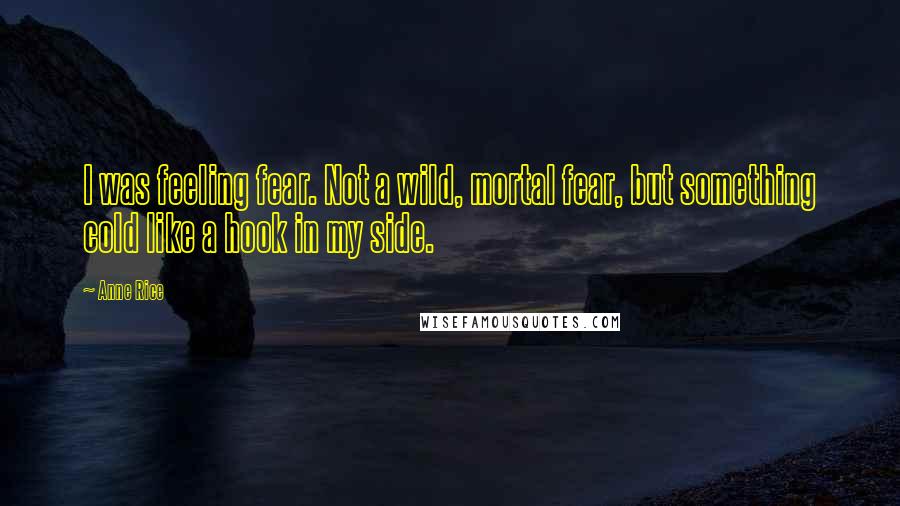 Anne Rice Quotes: I was feeling fear. Not a wild, mortal fear, but something cold like a hook in my side.