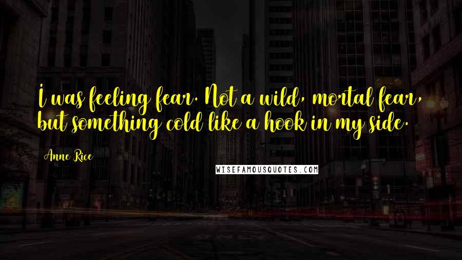 Anne Rice Quotes: I was feeling fear. Not a wild, mortal fear, but something cold like a hook in my side.